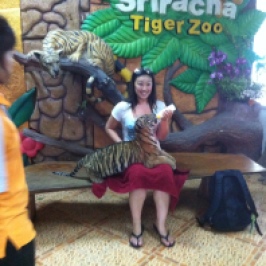 Feeding a baby tiger, CHECK!